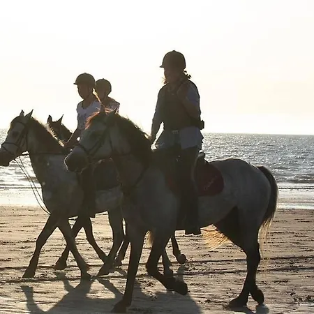 Option Face A La Daire *