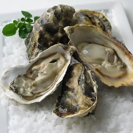 アパート Option Face A La