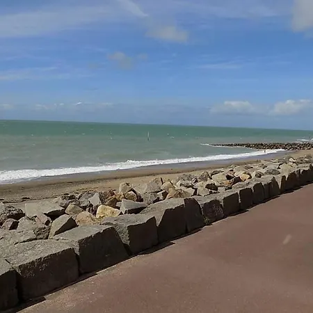 Option Face A La Daire *