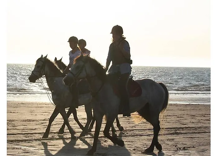 Option Face à La Appartement *