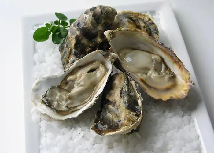 Appartement Option Face à La